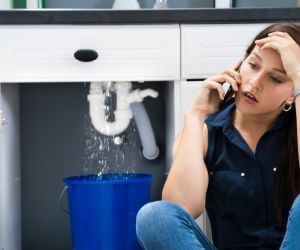 About Emergency plumbing pros Emington, IL
